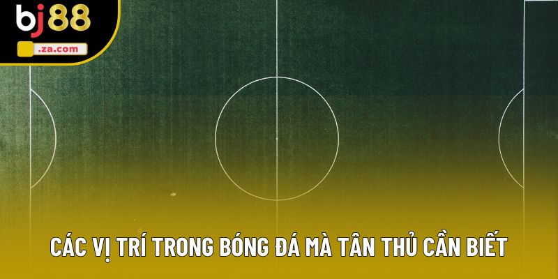 Các vị trí trong bóng đá mà tân thủ cần biết