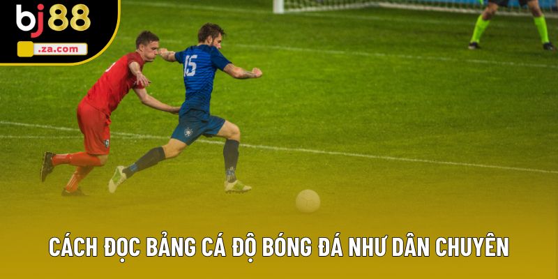 Cách đọc bảng cá độ bóng đá như dân chuyên