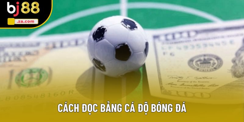 Cách Đọc Bảng Cá Độ Bóng Đá: Bí Kíp Thắng Cược Dễ Hiểu