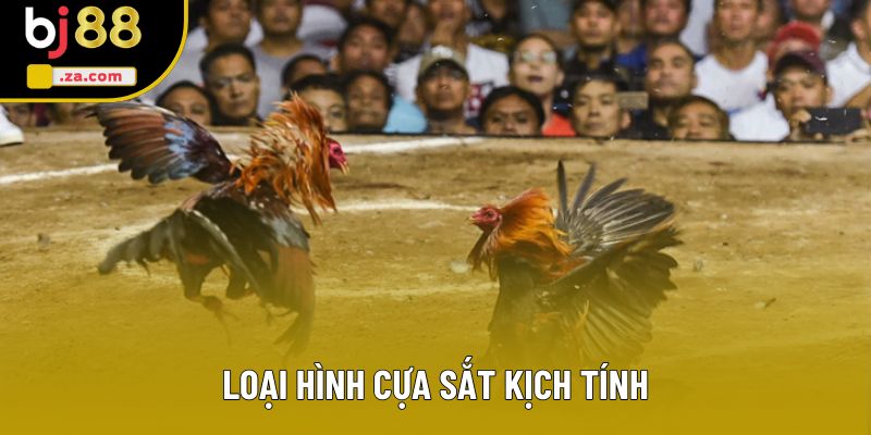 Loại hình cựa sắt kịch tính