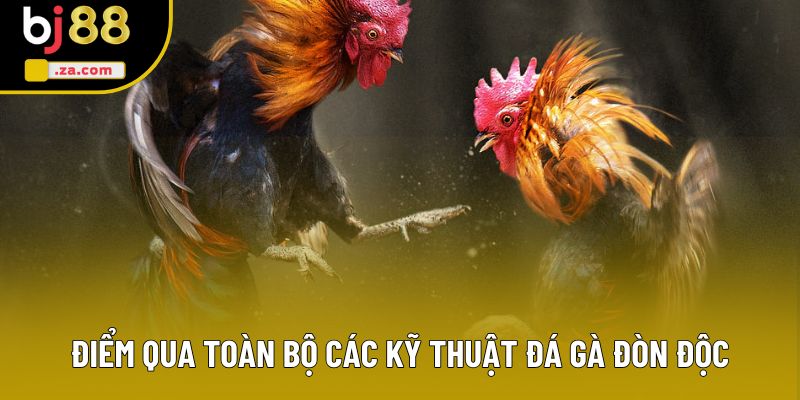 Điểm qua toàn bộ các kỹ thuật gà đá đòn độc