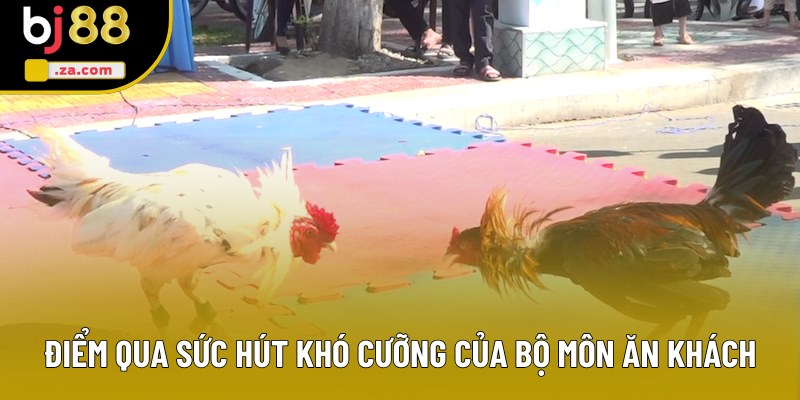 Điểm qua sức hút khó cưỡng của bộ môn ăn khách