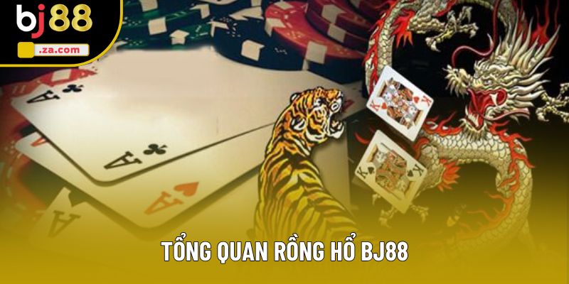 Tổng quan Rồng hổ BJ88