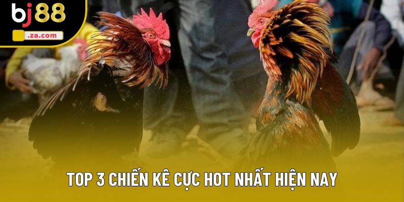 Top 3 chiến kê cực hot nhất hiện nay